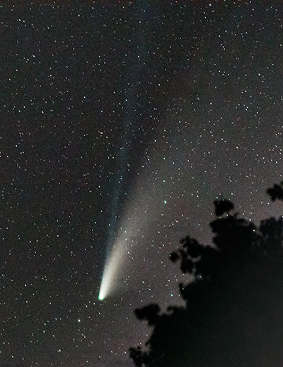 Comet NEOWISE